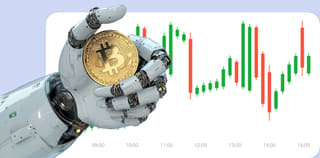 dashboard della piattaforma di scambio di criptovalute Lieta Patriov in vista